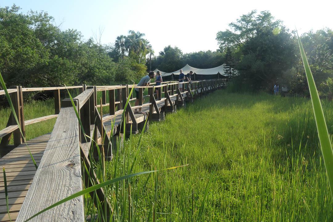P1002743 1080