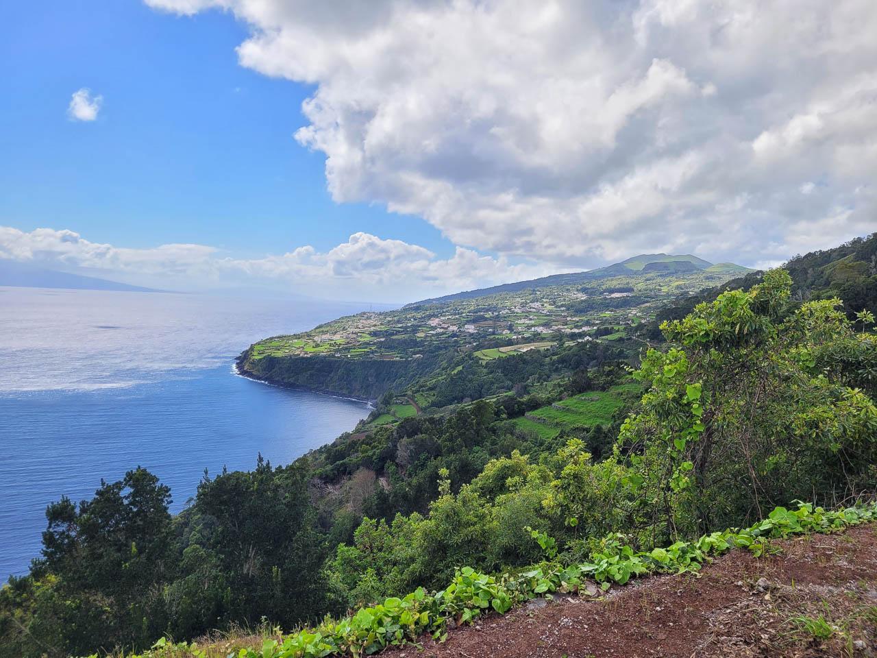 Selectie Leen Raus (3) Leen Raus