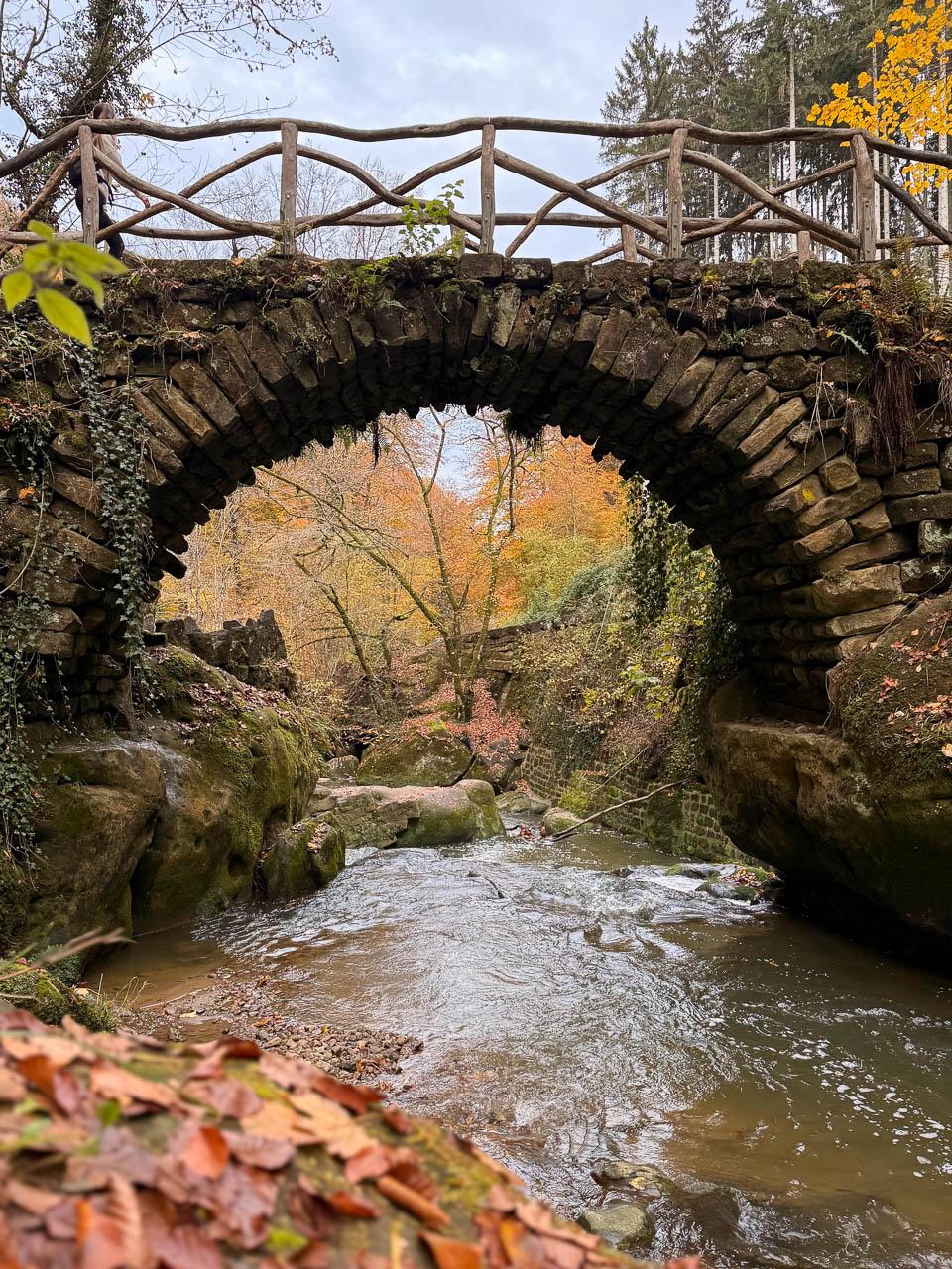 Daan Dhondt Daan Dhondt (11) Daan Dhondt