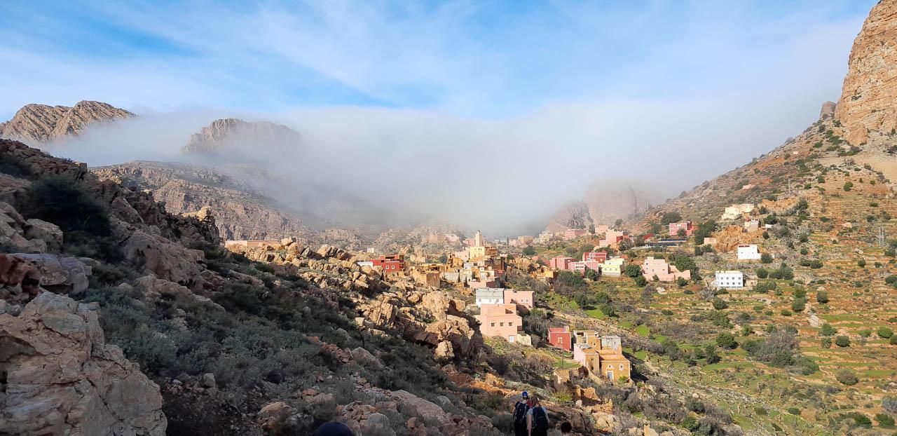 Selectie 20260204 104544 Tom Cornelis