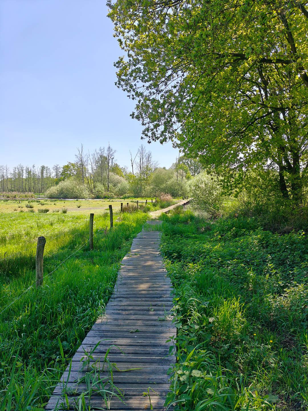 IMG20250430140055 1080