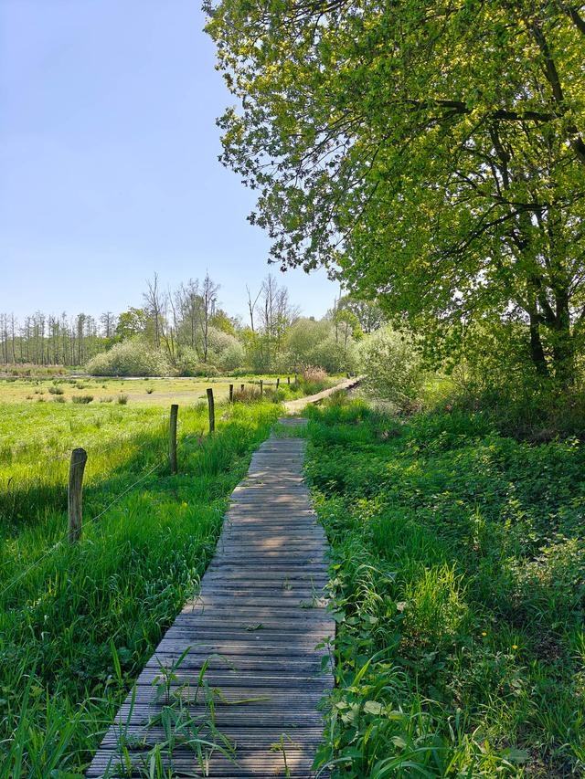 IMG20250430140055 1080