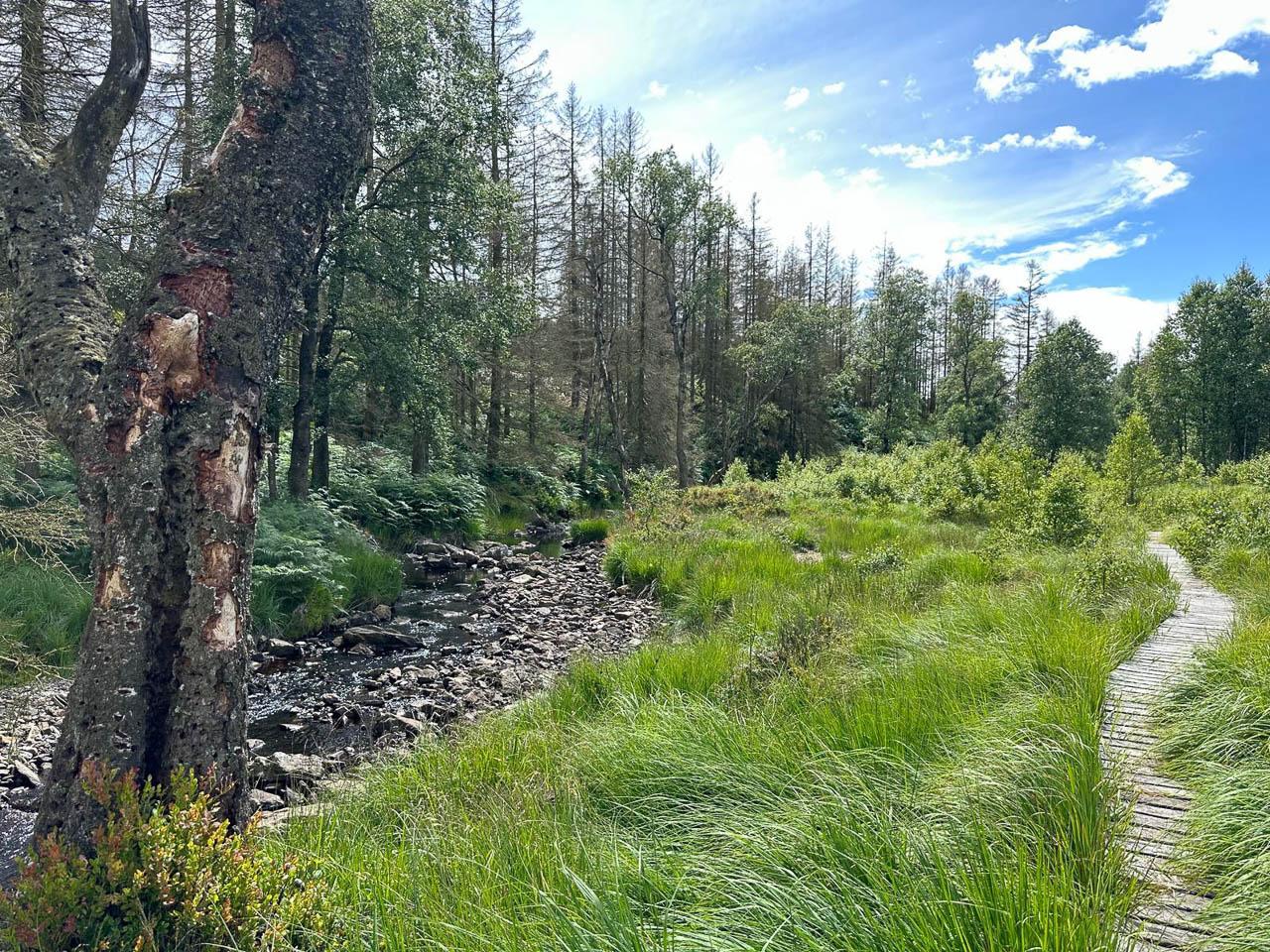 BE5VTA Venntrilogienancyjans5 Nancy Jans