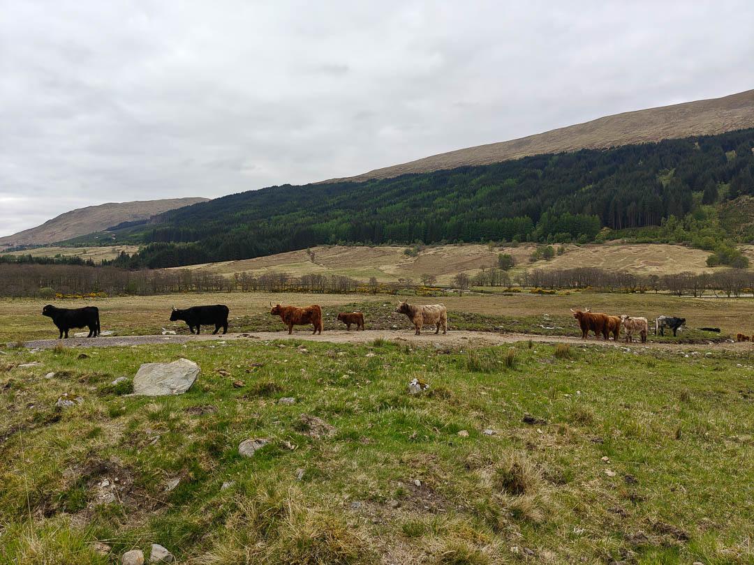 IMG20250507091427 1080