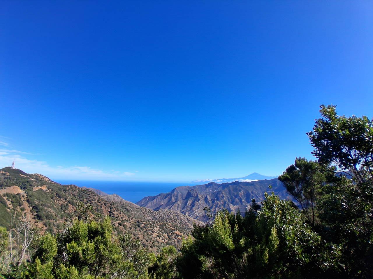 Franne Ricou Franne Ricou (1) Franne Ricou