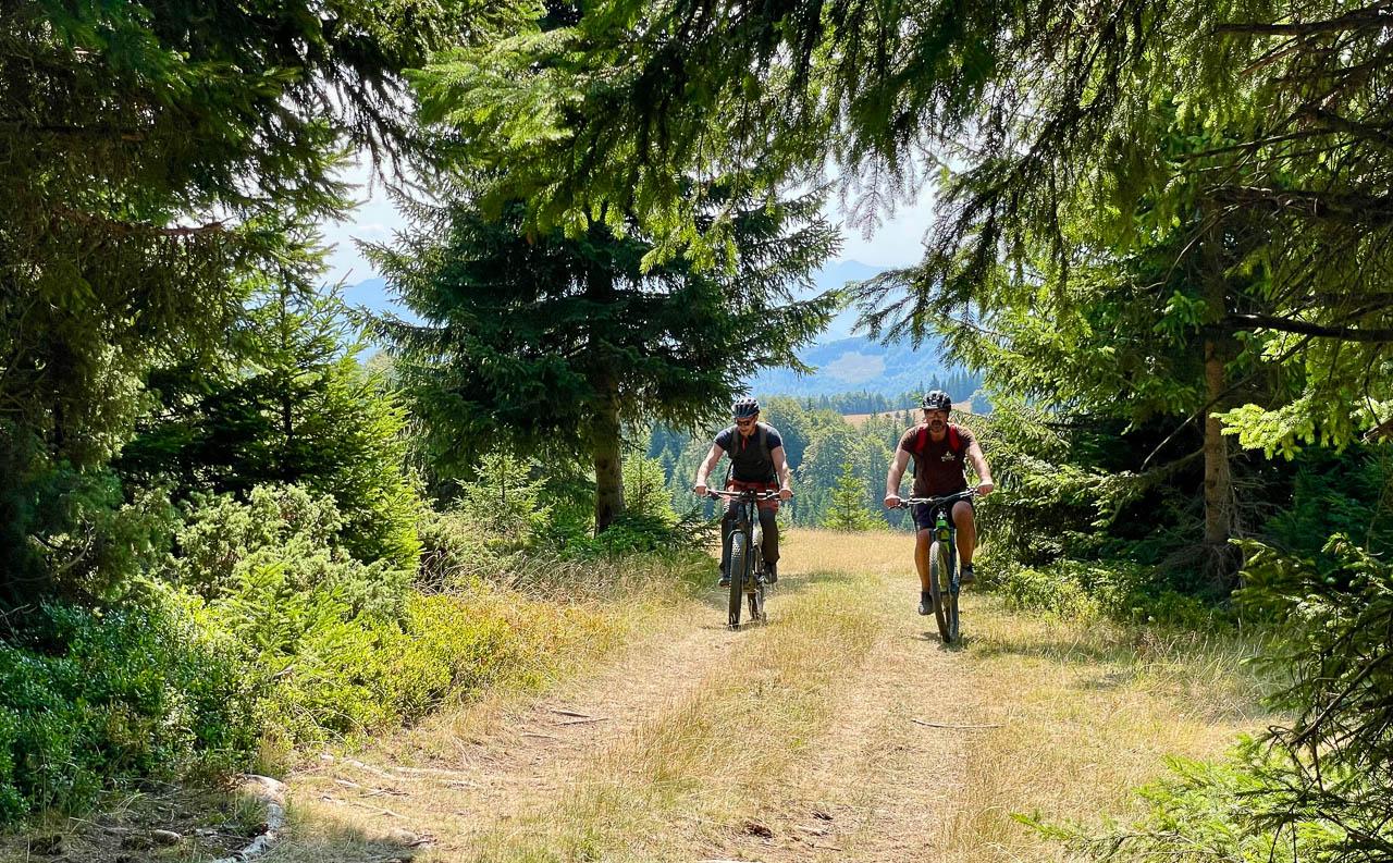 Yugo Travel (Agent) Yugo Travel (1) Ruud Peeten