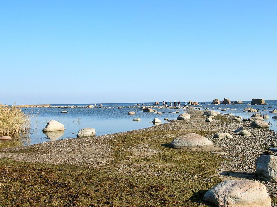 Estland Francis Van Herck 10 Export W950