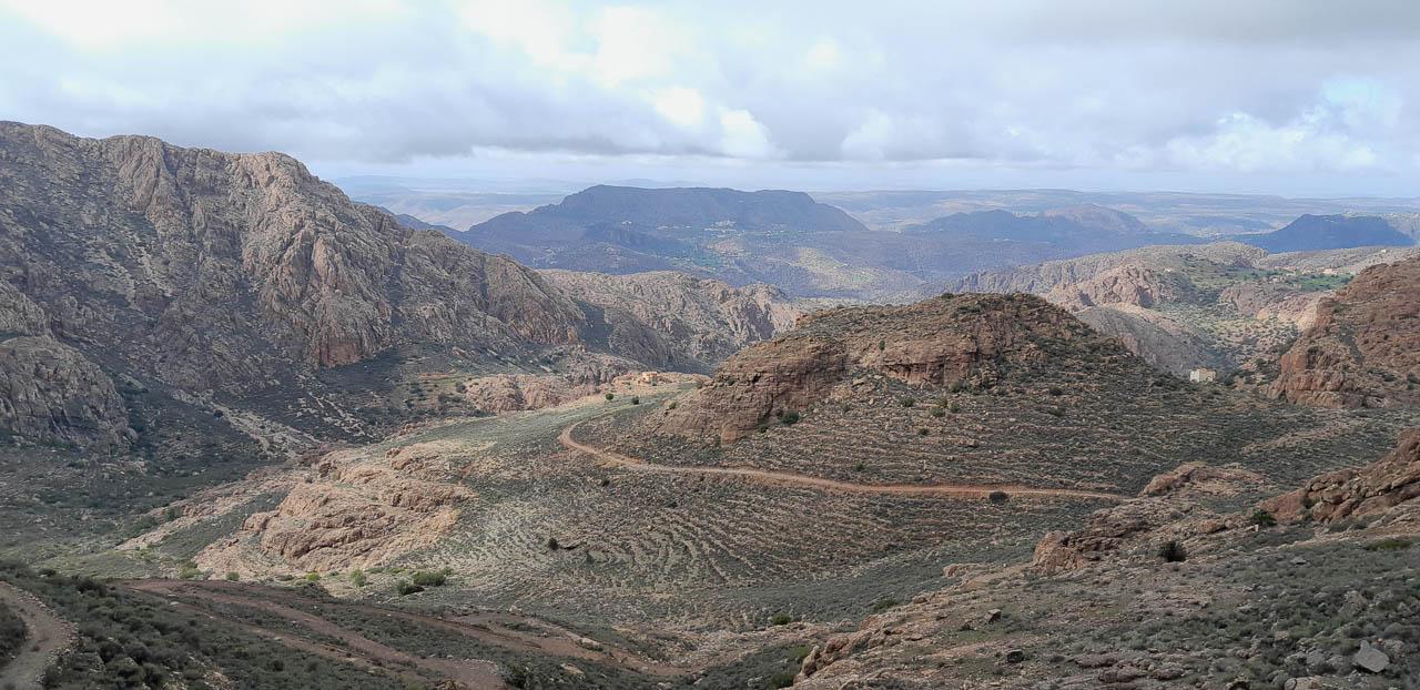 Selectie 20260203 145920 Tom Cornelis