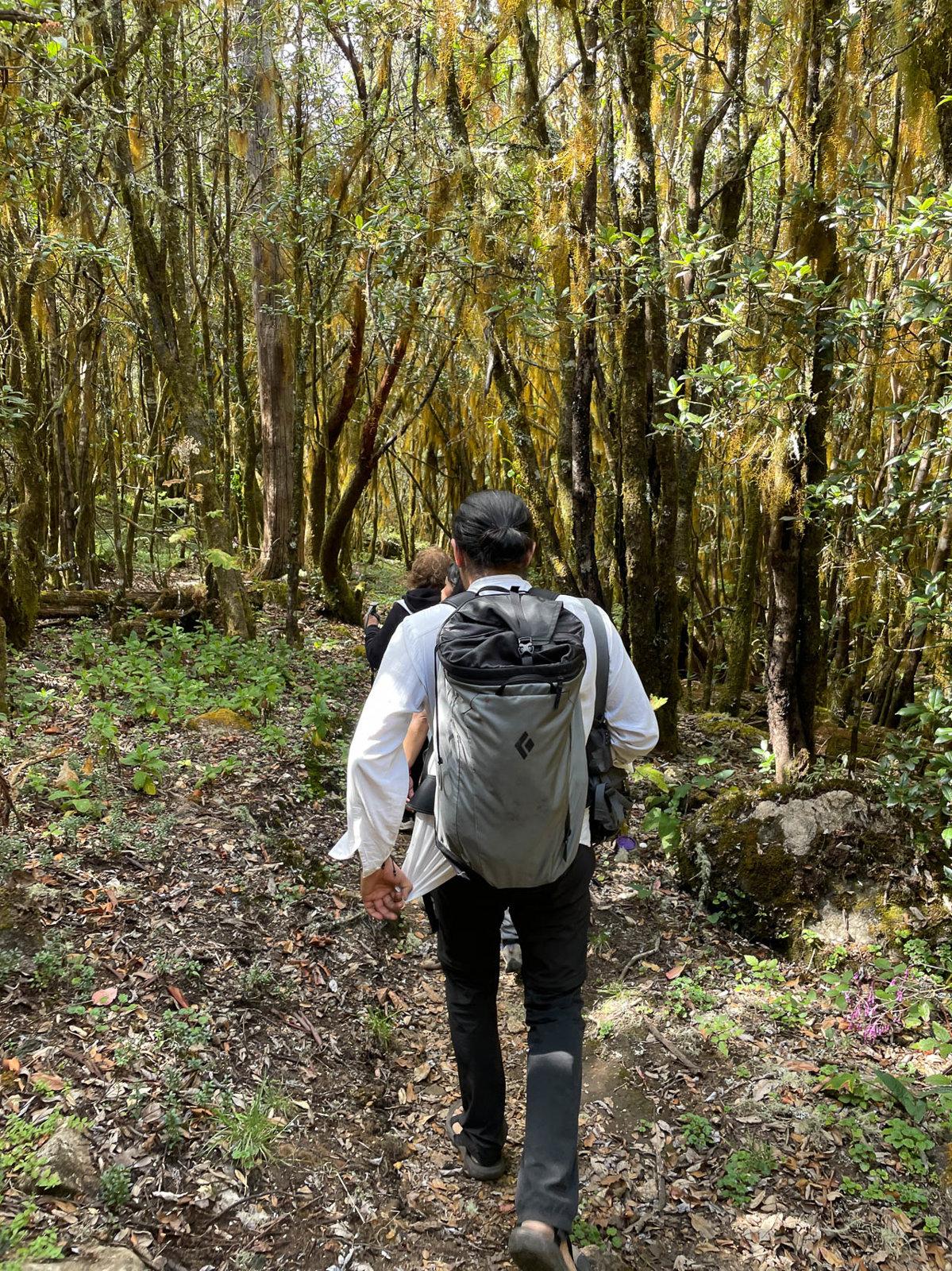 IMG 7412 Selectie Murielle Coppin W1280