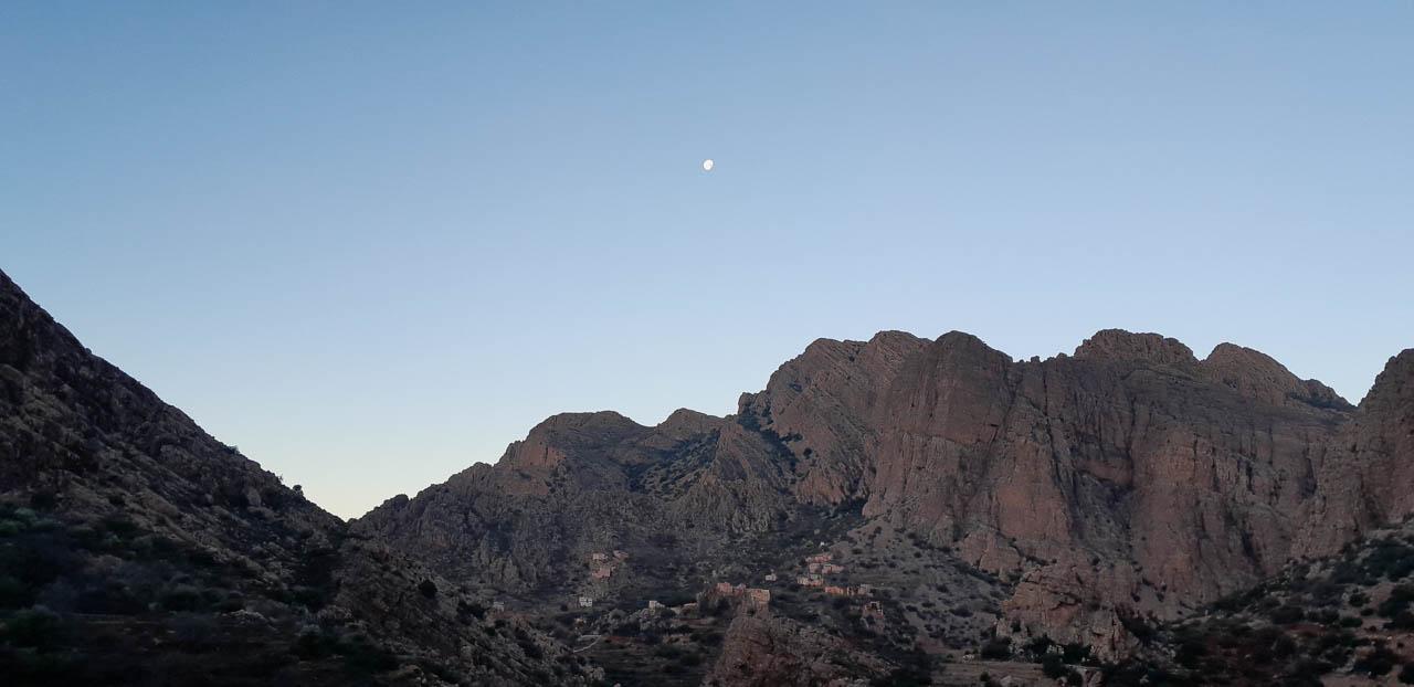 Selectie 20260205 083453 Tom Cornelis