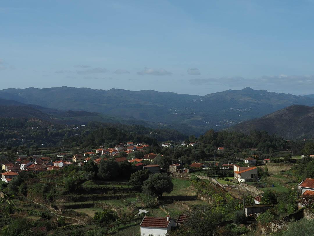 P9130178 CEDRIC ONYN 1080