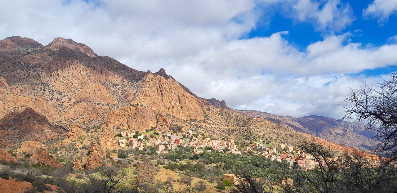 Selectie 20260206 151207 Tom Cornelis