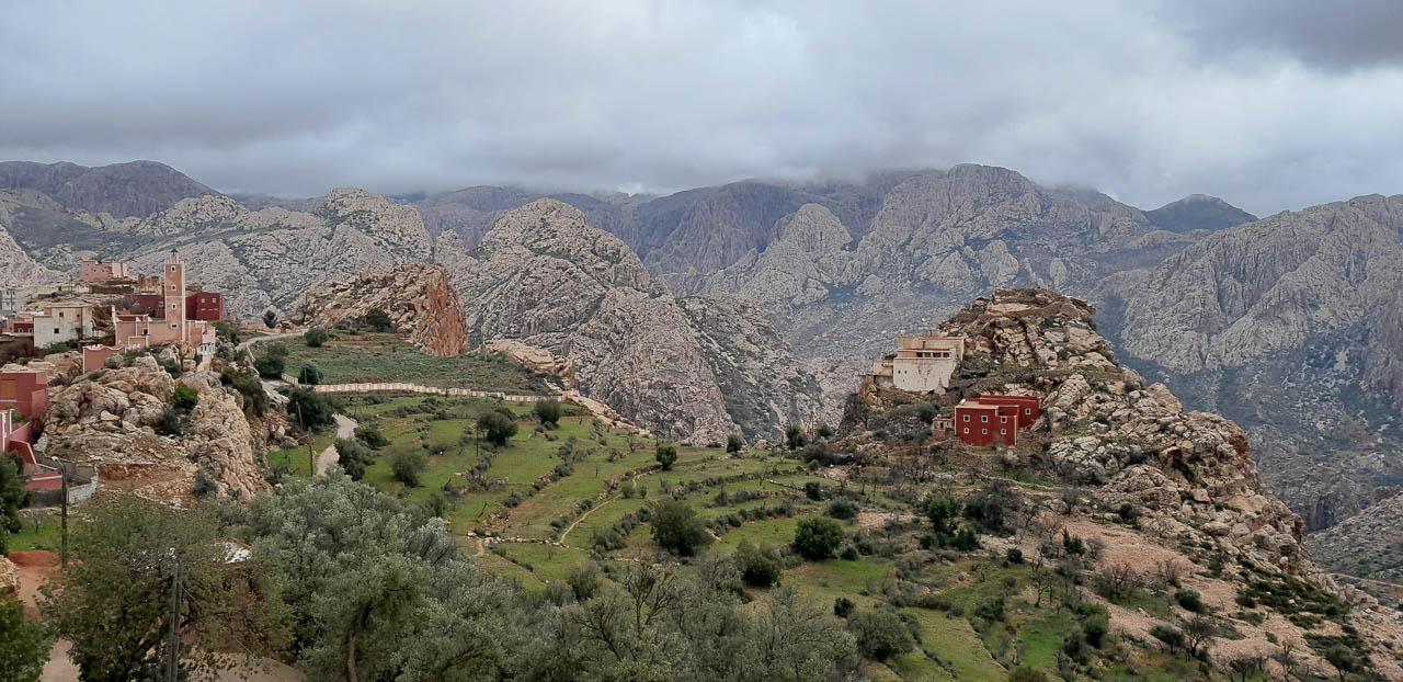 Selectie 20260203 171850 Tom Cornelis