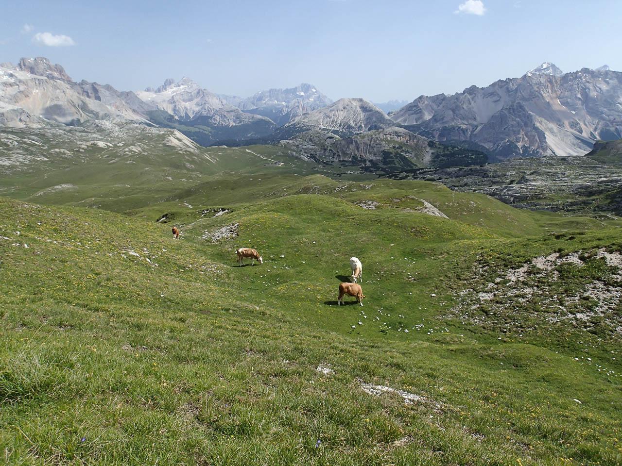 P8030704 Selectie Filip Dehaene W1280