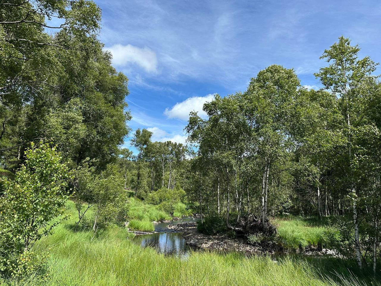 BE5VTA Venntrilogienancyjans Nancy Jans