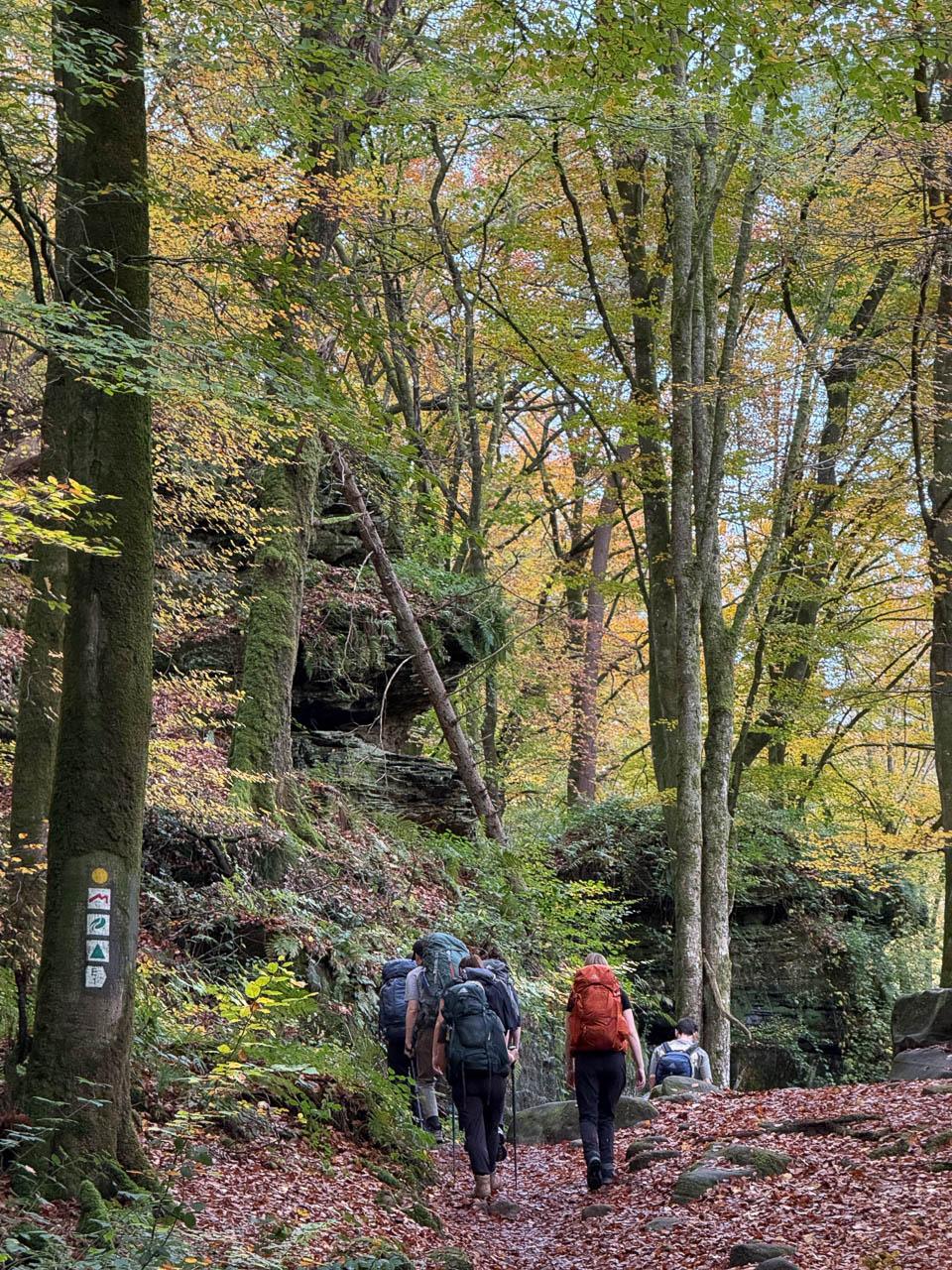 Daan Dhondt Daan Dhondt (18) Daan Dhondt