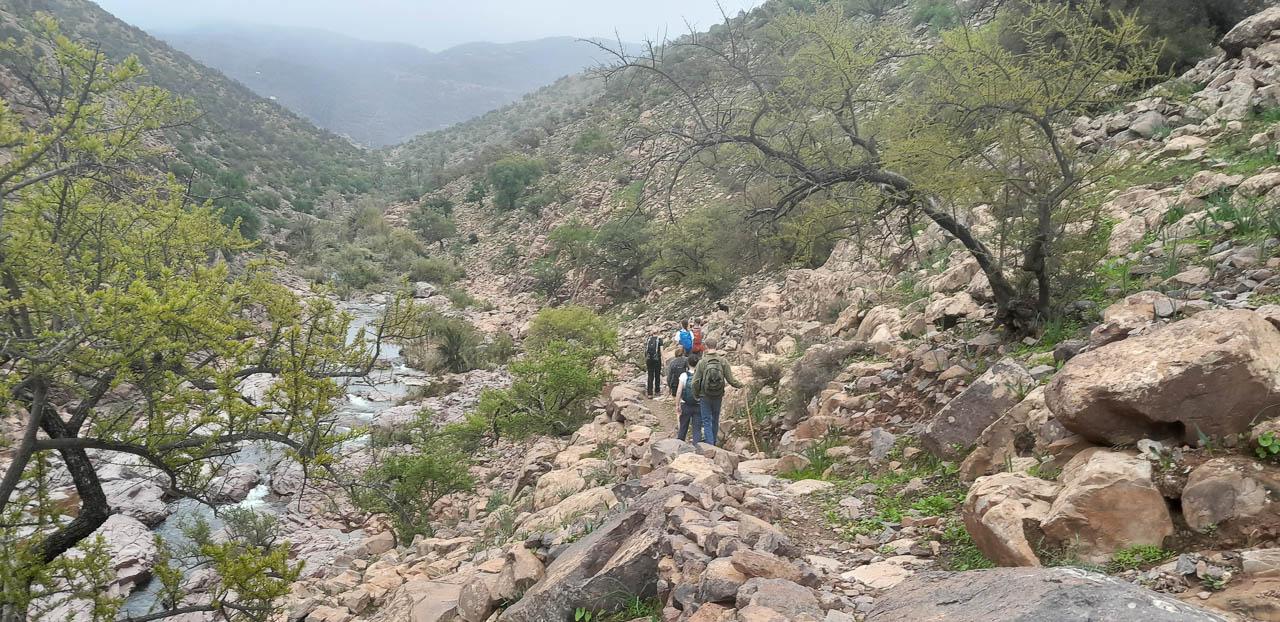 Selectie 20260202 172459 Tom Cornelis