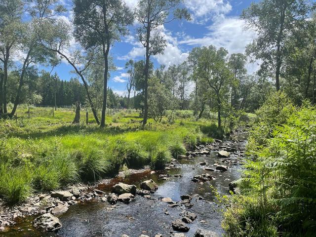 BE5VTA Venntrilogienancyjans10 Nancy Jans