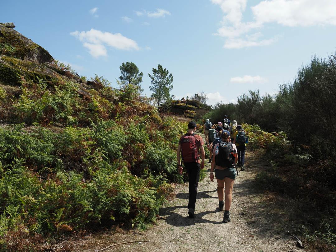 P9120065 CEDRIC ONYN 1080