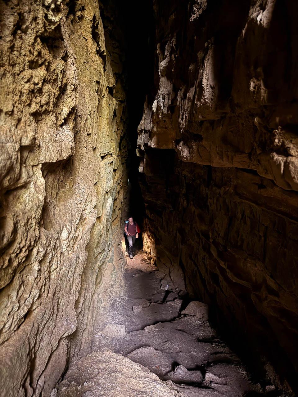 Daan Dhondt Daan Dhondt (17) Daan Dhondt