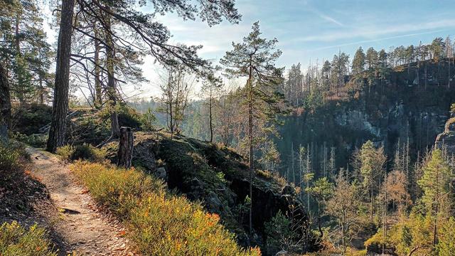 Lori Persoons Lori Persoons (3) Lori Persoons