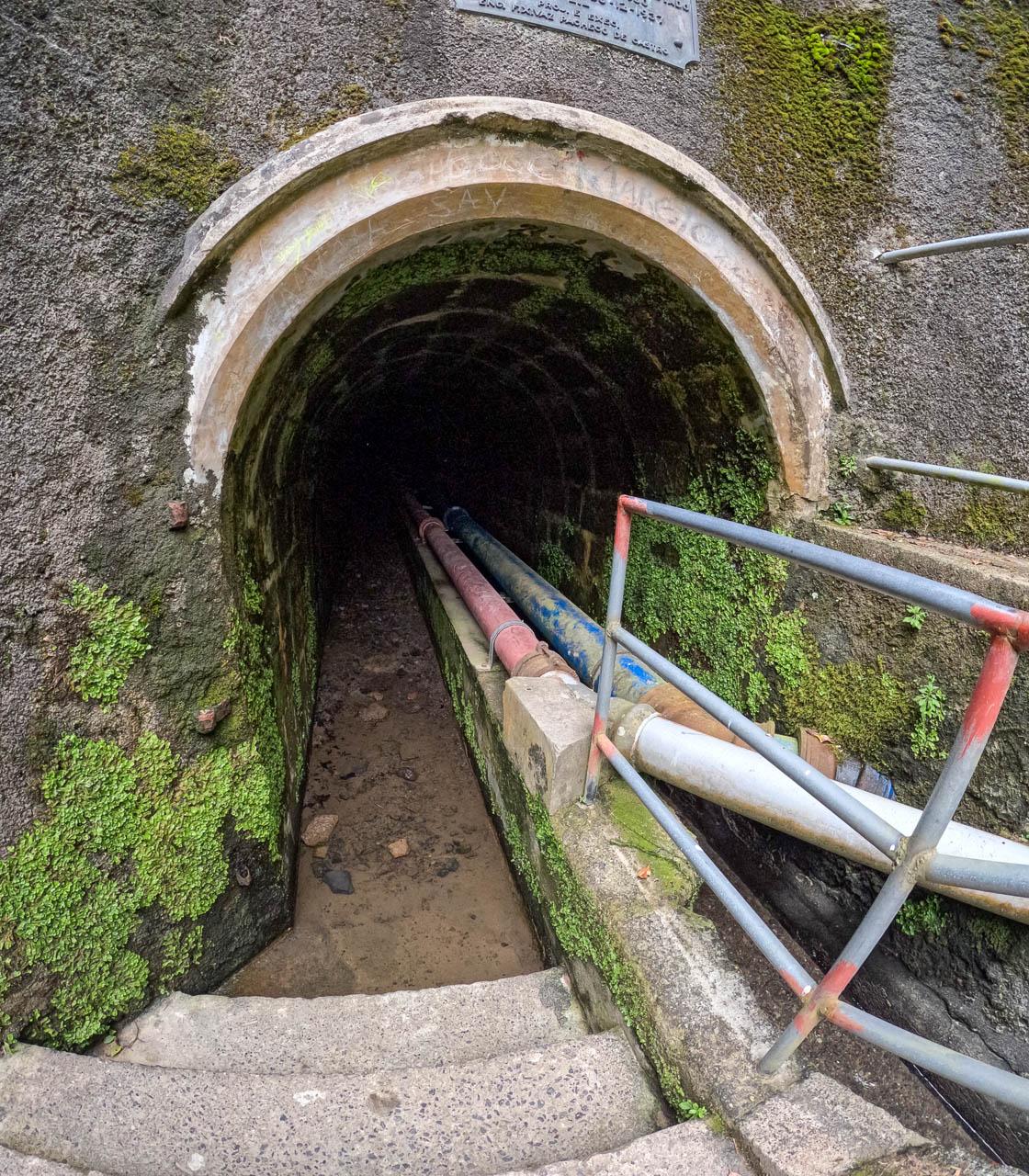 Selectie Lori Persoons (6) Lori Persoons