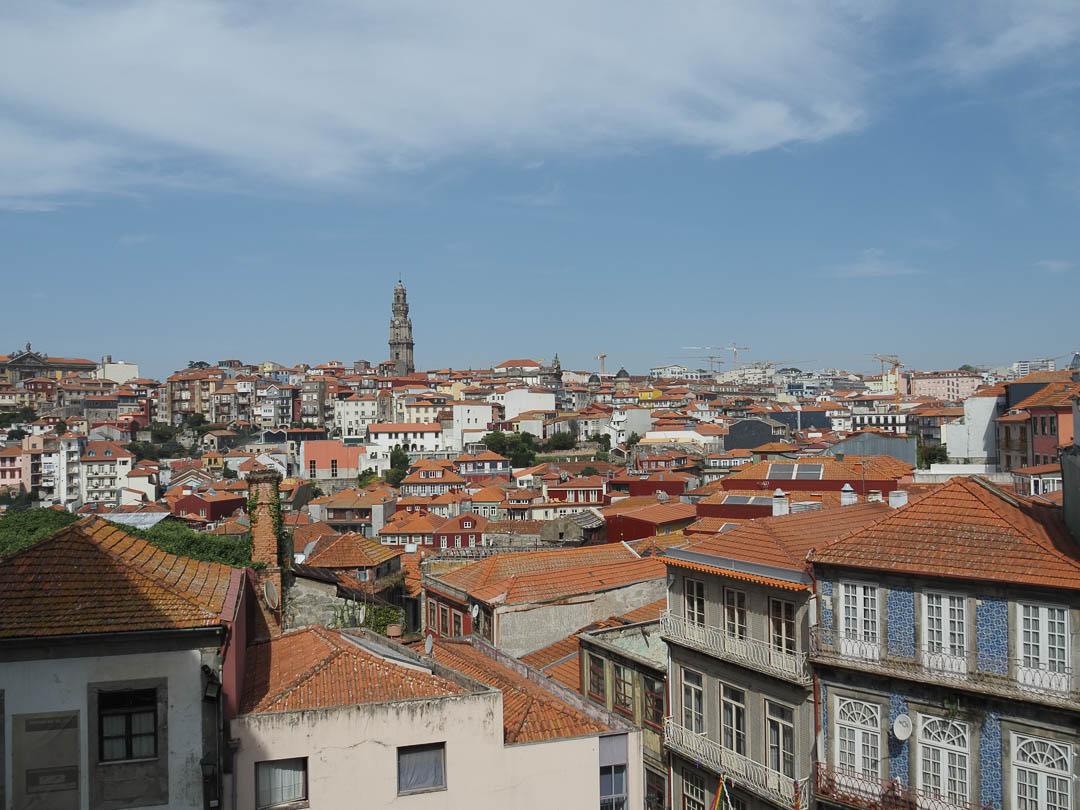 P9190197 CEDRIC ONYN 1080