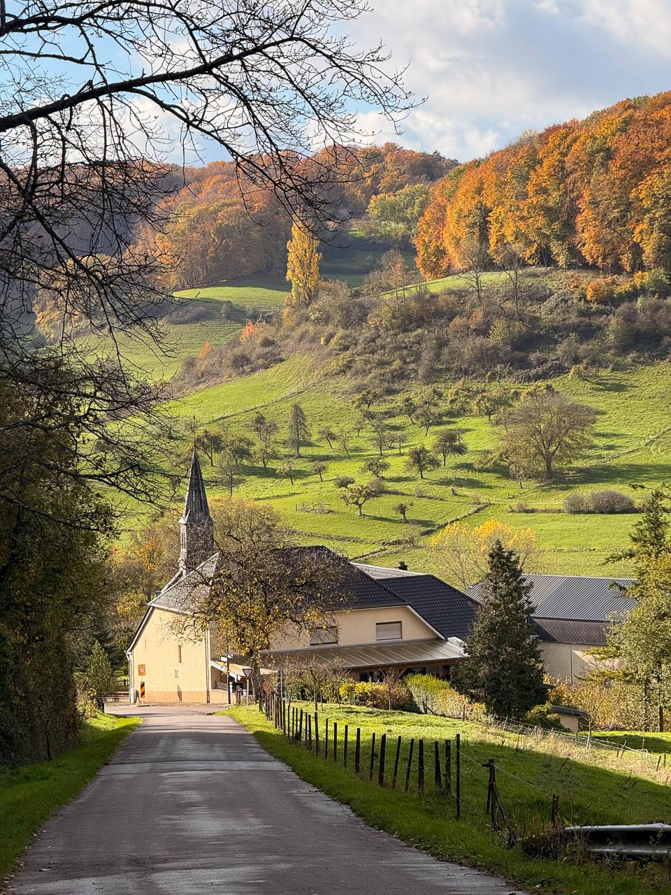 Daan Dhondt Daan Dhondt (7) Daan Dhondt