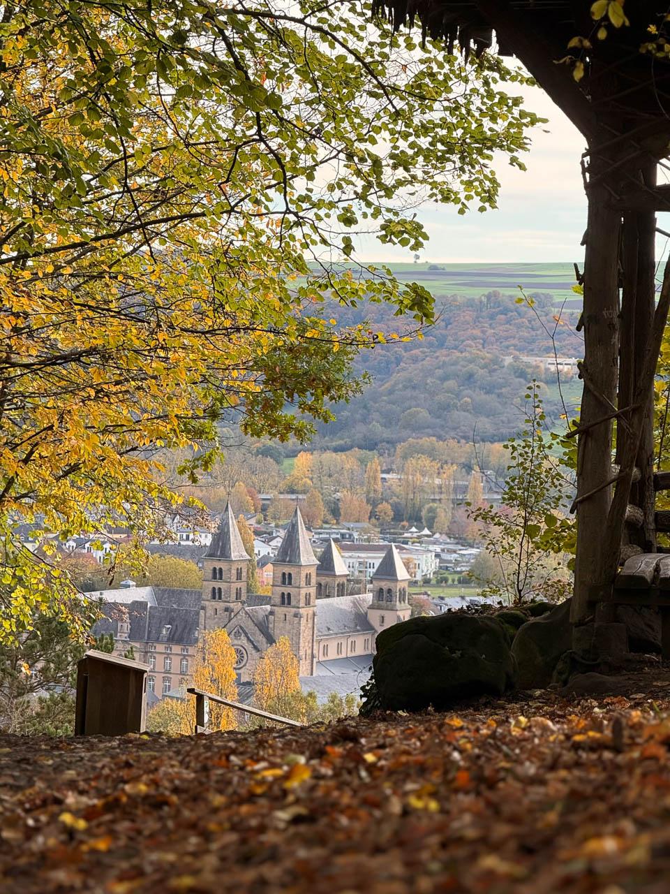 Daan Dhondt Daan Dhondt (15) Daan Dhondt