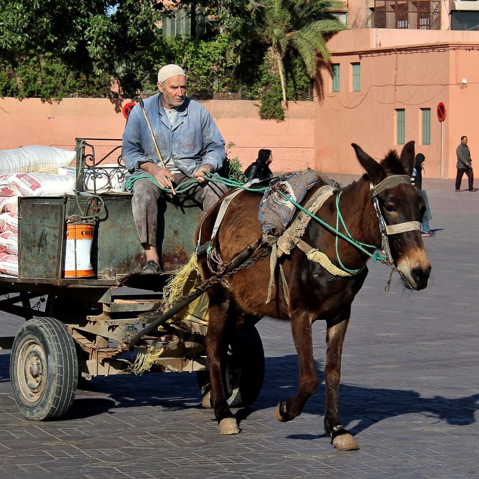 Toubkal-5_export_w950