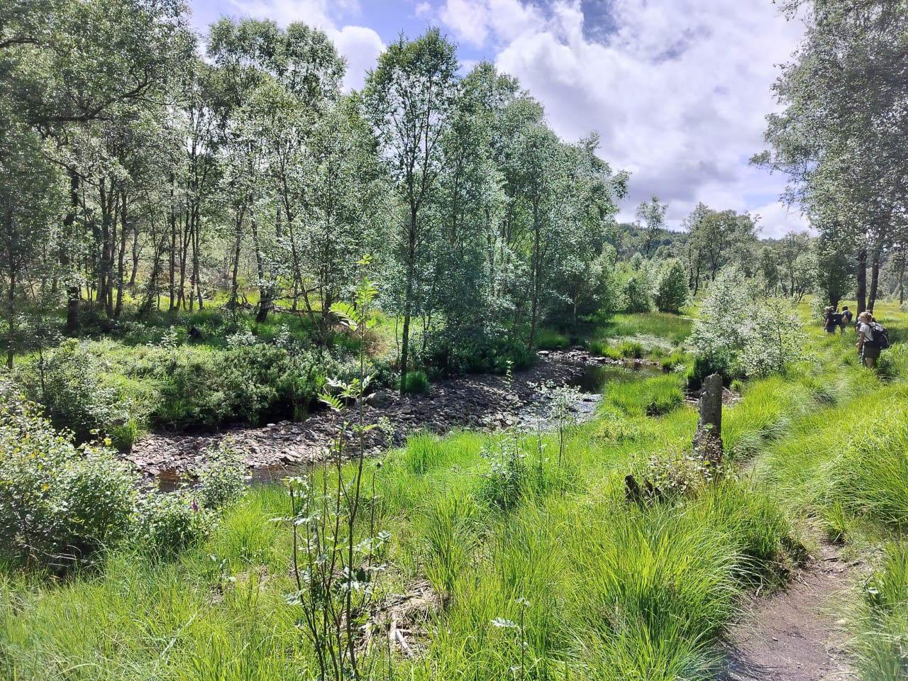 BE5VTA Venntrilogienancyjans8 Nancy Jans