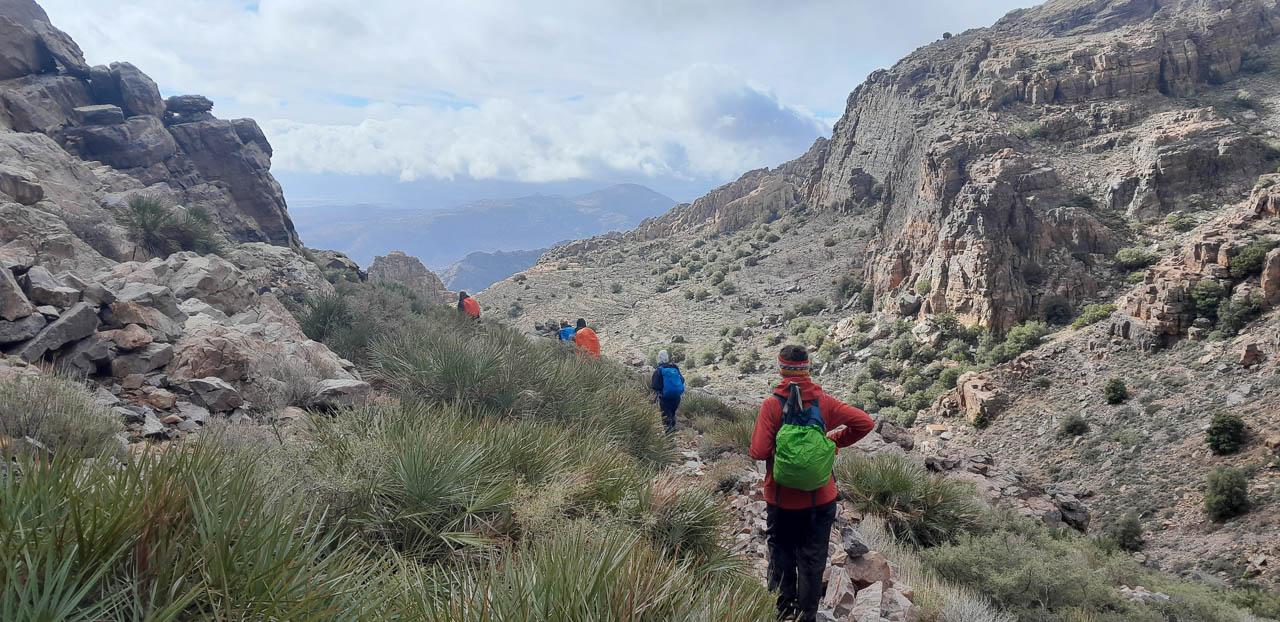 Selectie 20260206 114354 Tom Cornelis