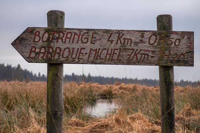 DSC05371_export_w950