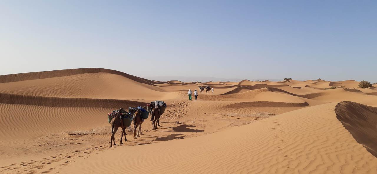 Selectie 20240212 161735 Jeroen Van Laer