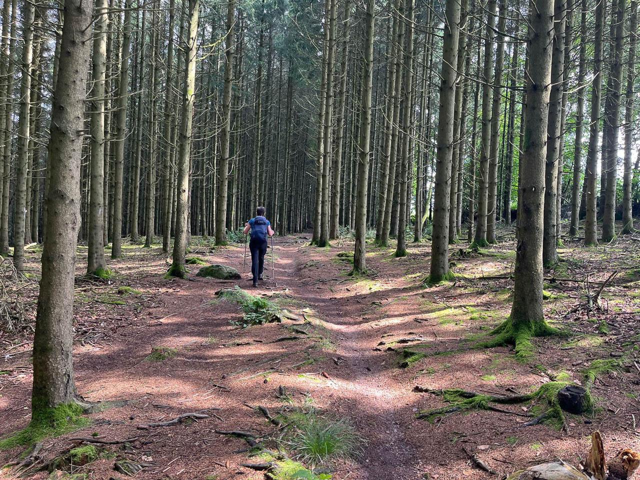 BE5VTA Venntrilogienancyjans14 Nancy Jans