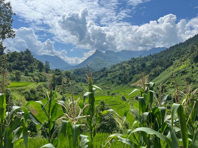 Selectie Ngan Nguyen IMG 4295 Ngan Nguyen