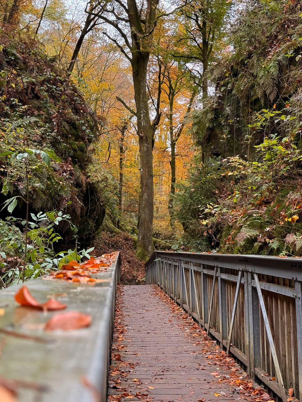 Daan Dhondt Daan Dhondt (2) Daan Dhondt