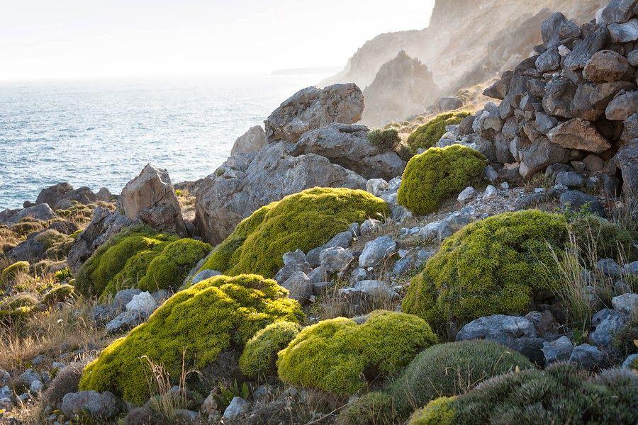 Kreta south coast Lex van den Bosch -4_export