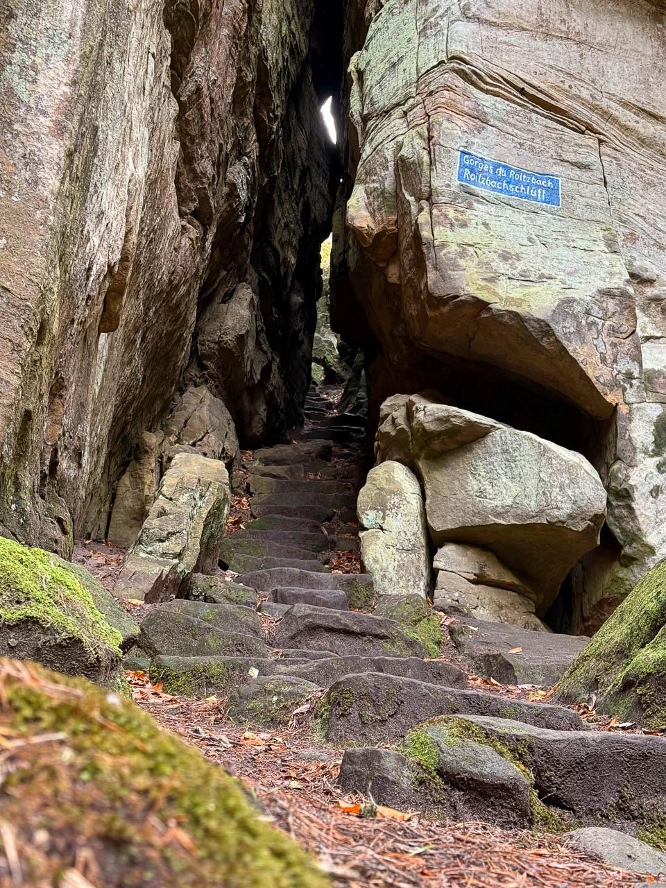 Daan Dhondt Daan Dhondt (5) Daan Dhondt