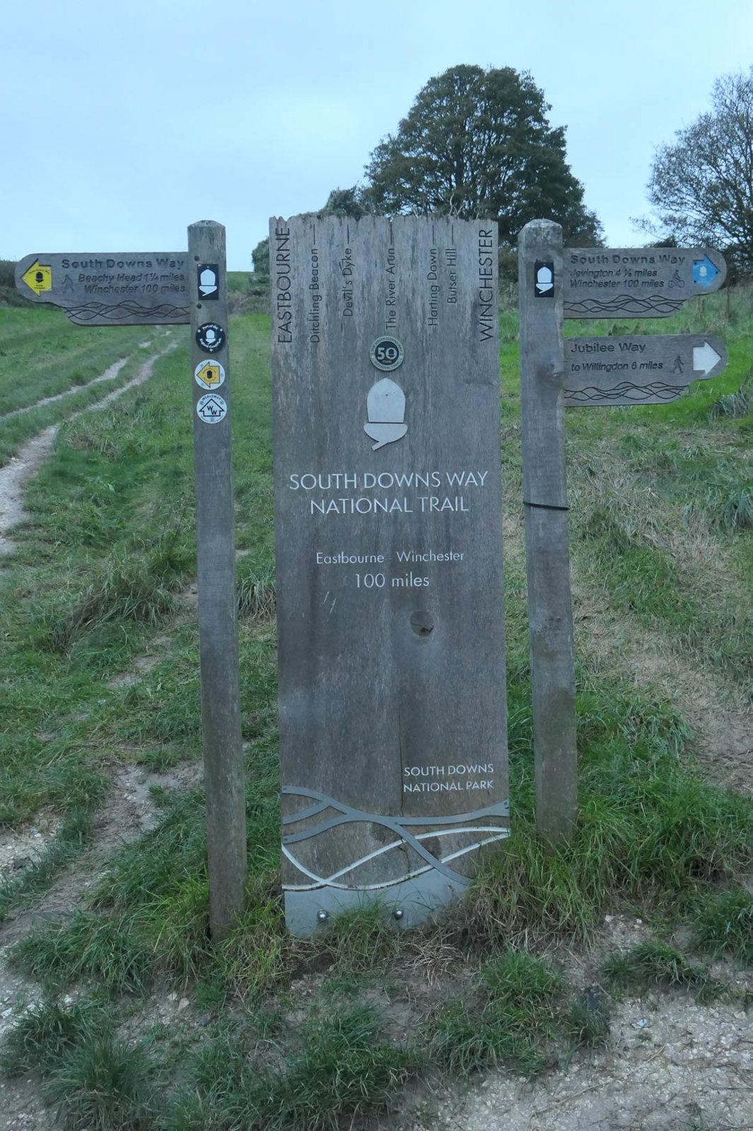 P1002988 1080