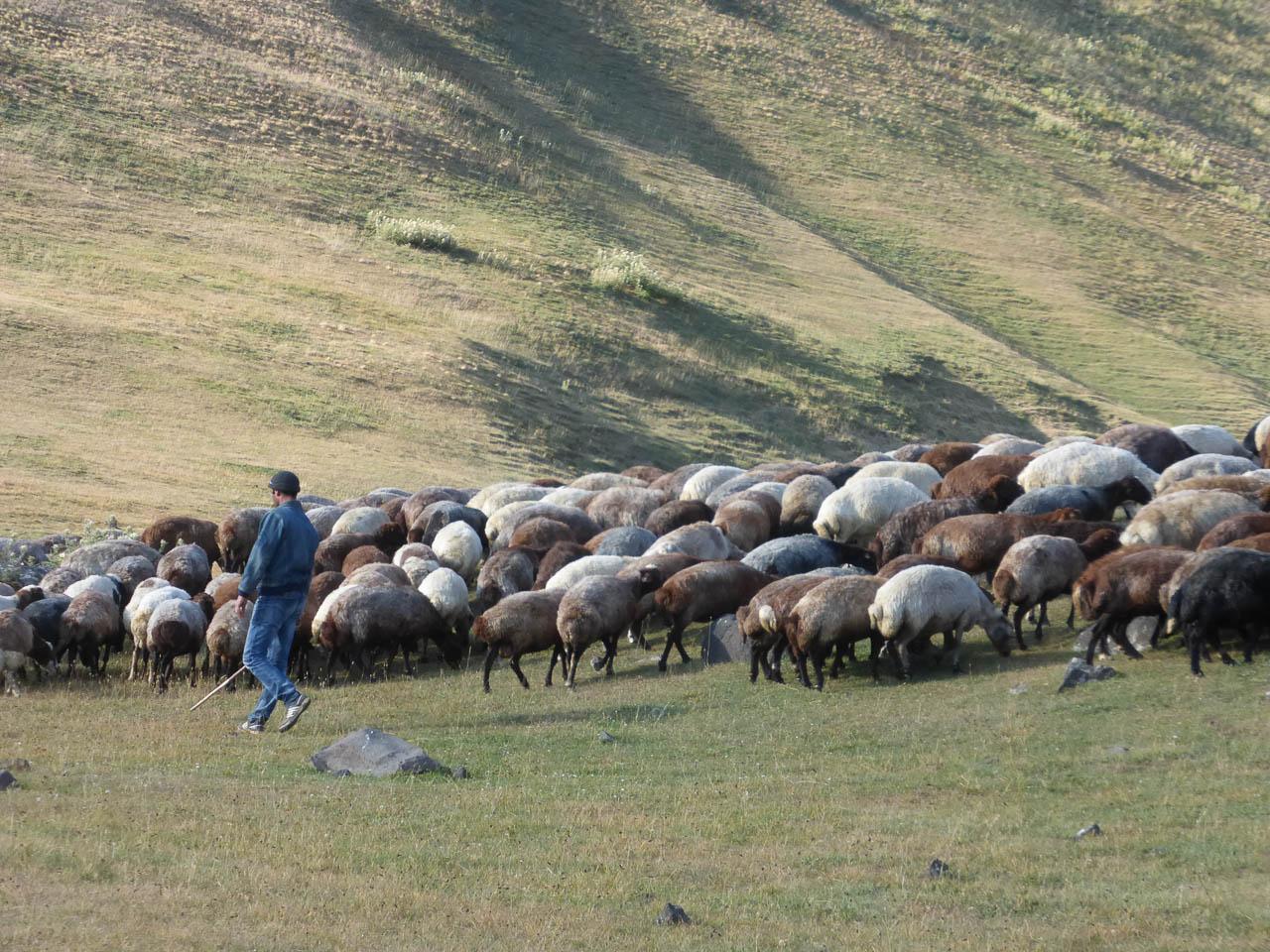 Lut Vanloo Lut Vanloo (2) Lut Vanloo