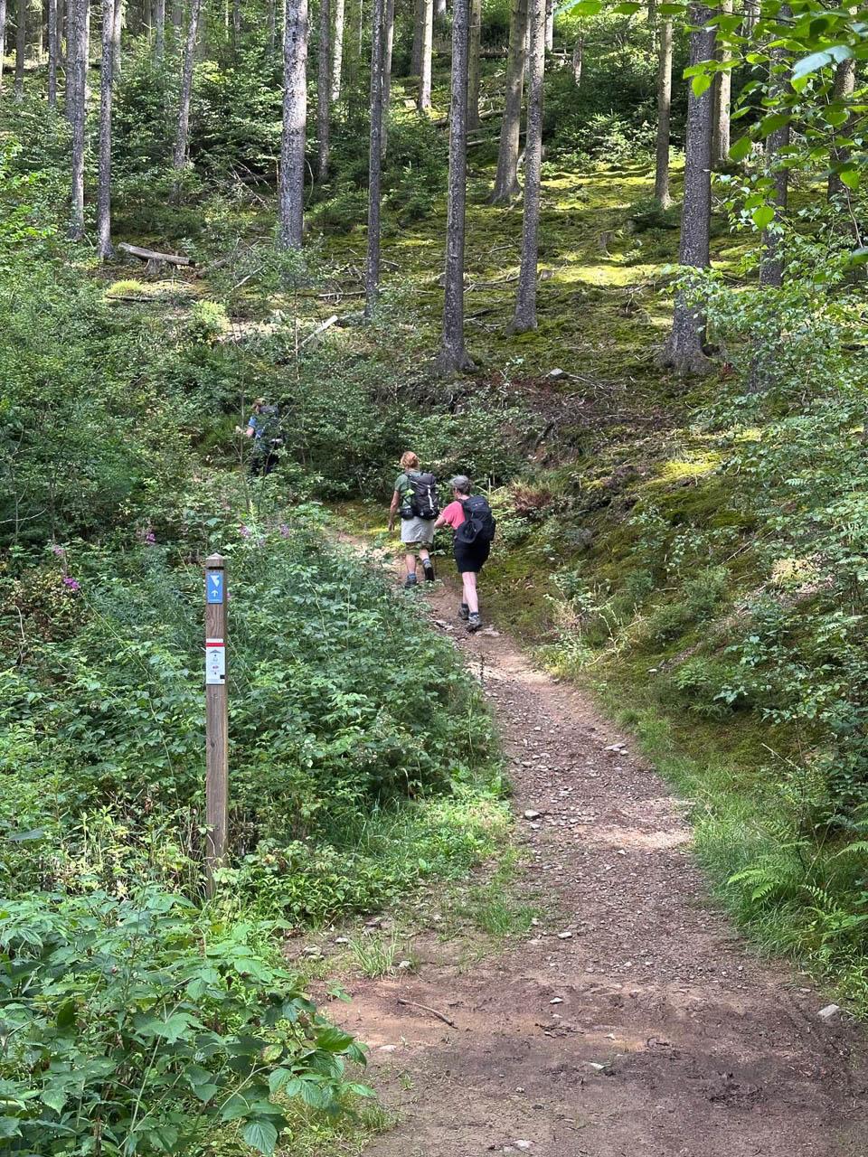 BE5VTA Venntrilogienancyjans15 Nancy Jans