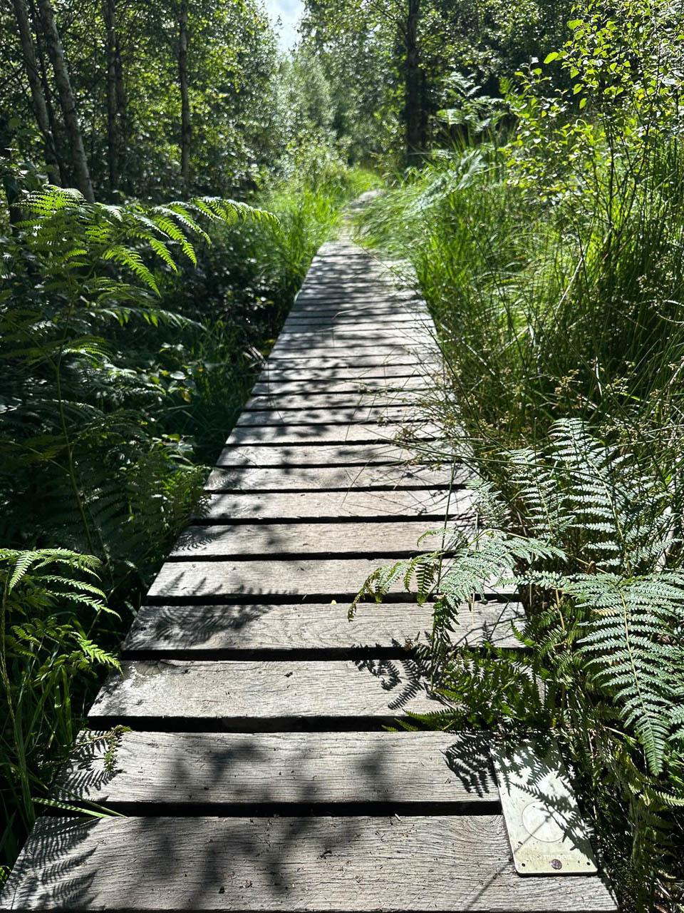 BE5VTA Venntrilogienancyjans4 Nancy Jans