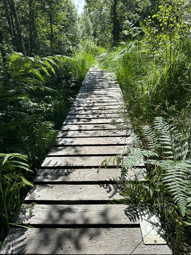 BE5VTA Venntrilogienancyjans4 Nancy Jans