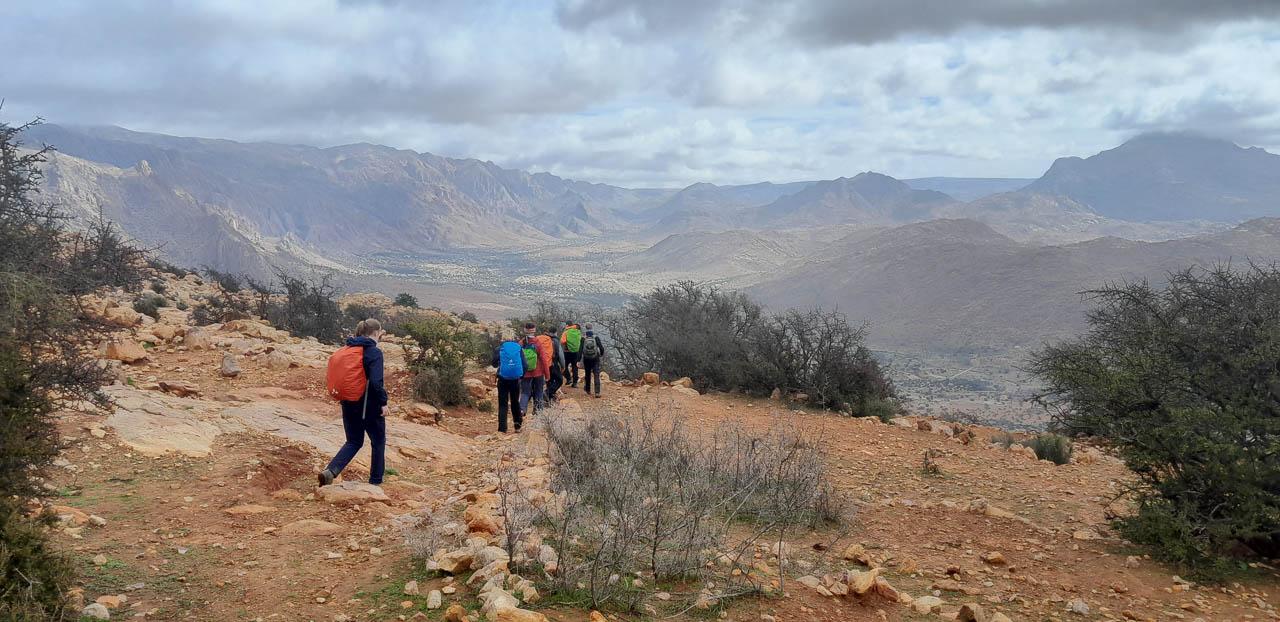 Selectie 20260206 130254 Tom Cornelis