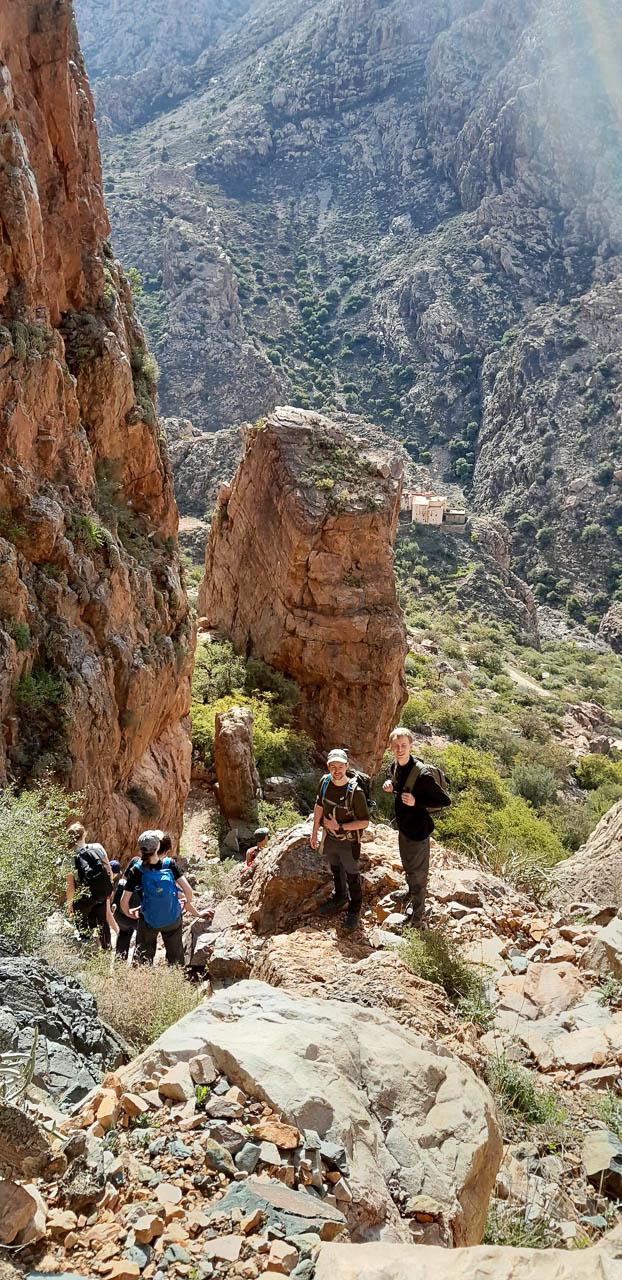 Selectie 20260204 112045 Tom Cornelis