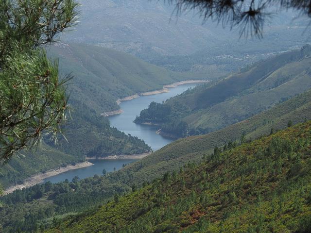 P9130258 CEDRIC ONYN 1080