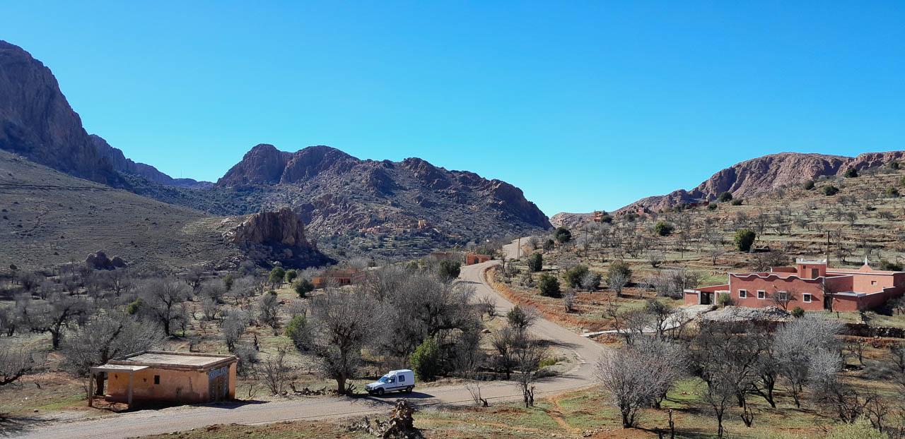 Selectie 20260205 161156 Tom Cornelis