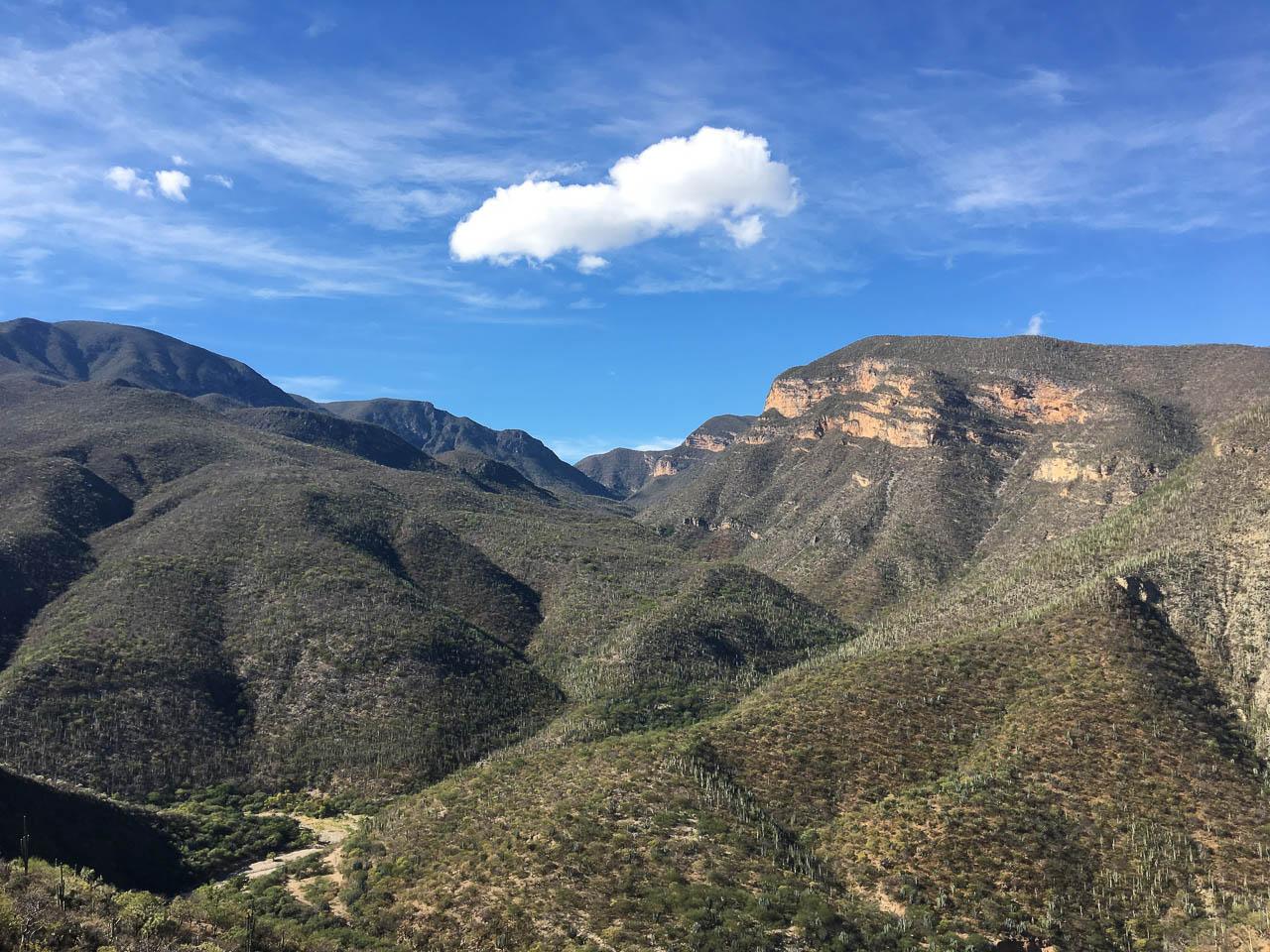 IMG 0152 Selectie Murielle Coppin W1280