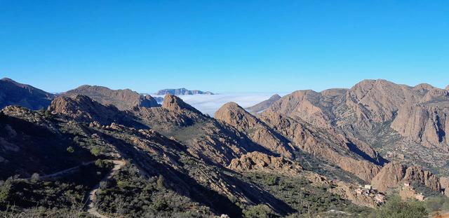 Selectie 20260205 110136 Tom Cornelis